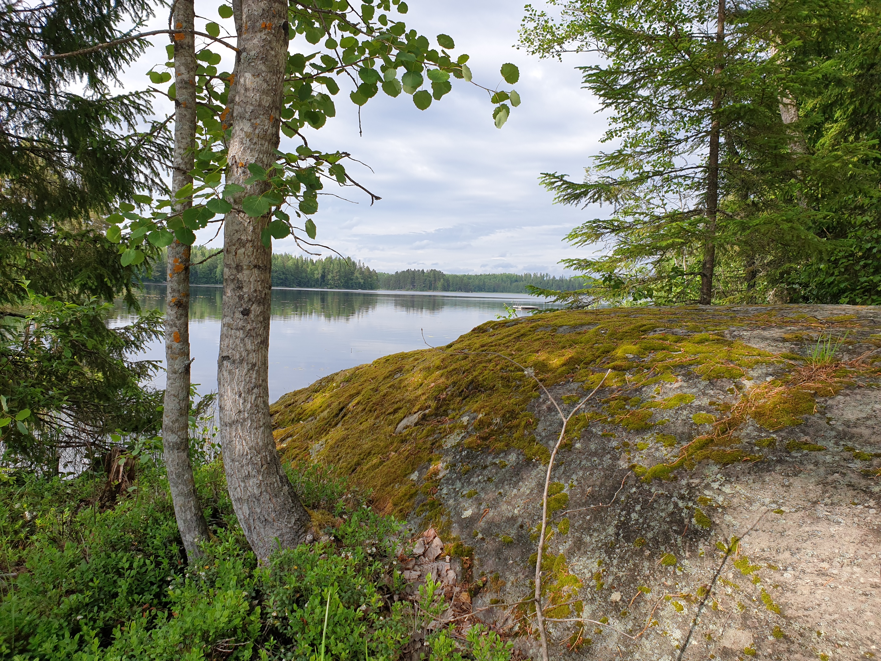 Näkymä metsäisen kallion yli Tervajärven lahdelle.
