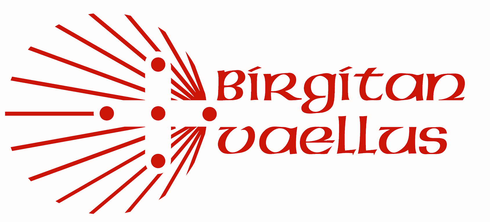 Logo, jossa lukee Birgitan vaellus.