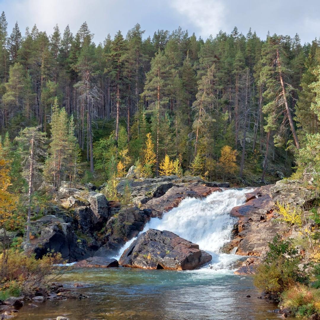 Syksyinen metsä ja vuolaana virtaava putous.