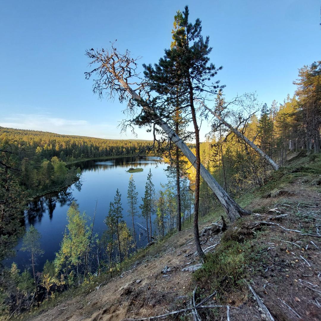 Kuvattu hiekkatöyrään päältä alhaalla aukeavaan vesistöön. Pari kaatunutta puuta edessä.